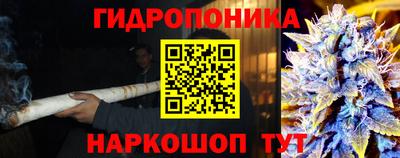 прущие крисы Туймазы