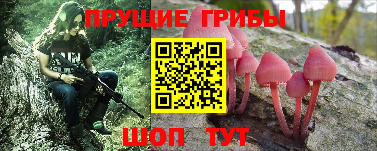 Псилоцибиновые грибы Cubensis Борисоглебск
